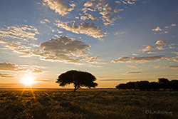 Sonnenuntergang ber der Tau Pan