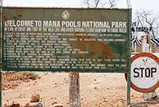 Welcome to Mana Pools Nationalpark