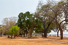 Tashinga Camp, Matusadonna Nationalpark