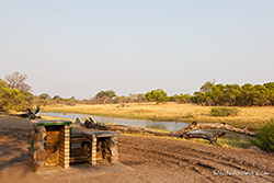 Campsite am Savuti Channel