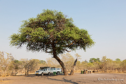 Savuti Campsite
