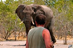 Elefantenbesuch auf der Campsite