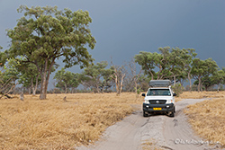 Unwetter über Savuti