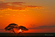 Reise Info Afrika