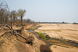 Das breite Flussbett des Luangwa