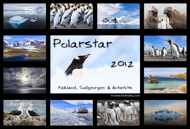 Kalender - Polarstar 2012 - Falkland, Südgeorgien und Antarktis