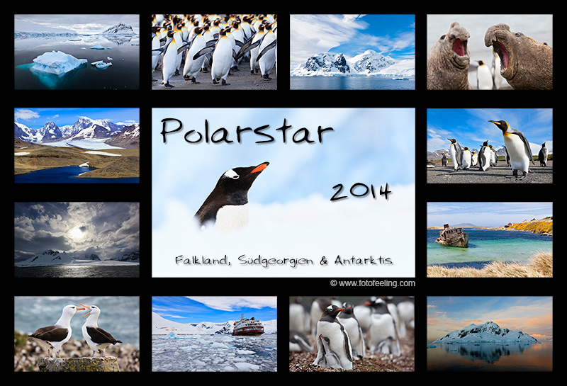 Kalender - Polarstar 2014 - Falkland, Südgeorgien und Antarktis