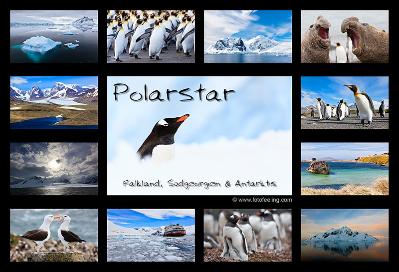Kalender - Polarstar - Falkland, Südgeorgien und Antarktis