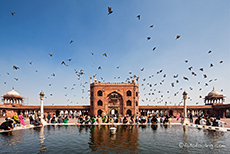 Tempelteich der Jama Masjid - der größten Moschee Indiens