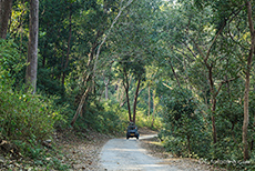 unterwegs im Jim Corbett Nationalpark