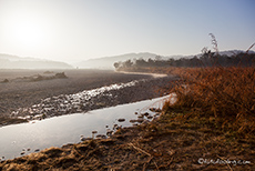 Flusslandschaft im Jim Corbett Nationalpark