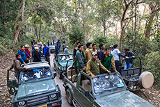 Alle wollen den Tiger sehen, Jim Corbett Nationalpark