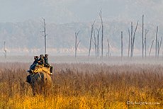 Auf der Suche nach Tigern, Jim Corbett Nationalpark