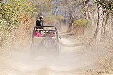 so entsteht der Nebel im Park, Jim Corbett Nationalpark