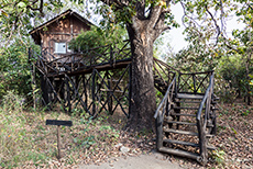 Unser Baumhaus im Tree House Hideaway