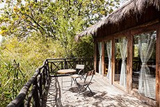 Ein Balkon in den Baumwipfeln, Tree House Hideaway