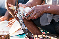 Fischhändler bei der Arbeit