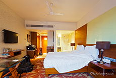 The Pride Hotel, Nagpur