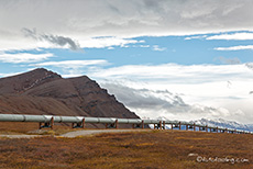 Die Trans-Alaska-Pipeline vor der Brooks Range, Dalton Highway