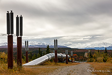 Alaska Pipeline am Richardson Highway