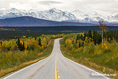 Auf dem Richardson Highway kommen wir der Alaska Range näher