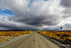 Sieht nach Unwetter aus, Denali Highway
