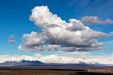 Alaska Range mit tollen Wolken, Denali Highway