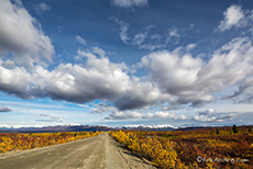 Fotowetter auf dem Denali Highway