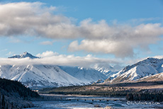 Ausblick auf die Primrose Ridge, Denali Nationalpark, Alaska