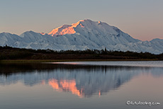 Der Mount McKinley im ersten Morgenlicht, Reflection Pond, Denali Nationalpark, Alaska