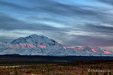 Mount McKinley im letzten Abendlicht, Denali Nationalpark, Alaska