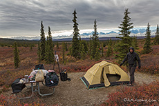 Und schon wird das Zelt abgebaut, Denali Nationalpark, Alaska