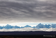 Nur die niedrigen Berg können noch unter der Wolkendecke hervorschauen, Alaska Range, Denali Nationalpark, Alaska