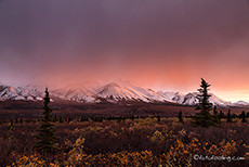 Sonnenuntergang über der Alaska Range, Denali Nationalpark, Alaska