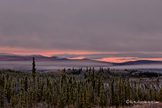 Morgenstimmung auf dem Taylor Highway, Alaska