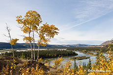 Herbstlandschaft am Yukon River, Kanada