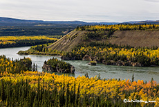 „Five Finger Rapids“, Yukon River, Kanada