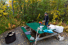 Unsere Campsite No. 4 am Dezadeash Lake Campground