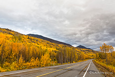 Hier wird es wieder richtig herbstlich, Richardson Highway, Alaska