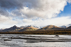 Matanuska River mit Hochwasserresten, Glenn Highway, Alaska