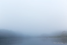 Kanu im Nebel
