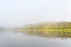 Nebelschwaden ziehen über den Pilchicocha-See