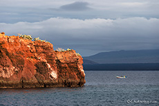 Rote Felsenküste, Insel Rábida, Galapagos Inseln