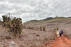 Ein Wanderpfad fhrt in die Insel Rábida, Galapagos Inseln