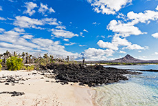 Sandstrand mit Lavafeld, Santa Cruz, Galapagos Inseln