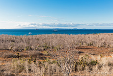 Aussicht vom Dragon Hill, Santa Cruz, Galapagos Inseln