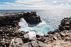 Steilküste auf der Insel Plaza Sur, Galapagos Inseln