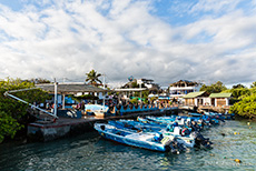 Fischmarkt in Puerto Ayora, Santa Cruz, Galapagos Inseln