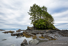 Botany Bay, Vancouver Island
