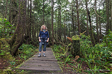 Weg durch den Wald zum Botanical Beach, Vancouver Island